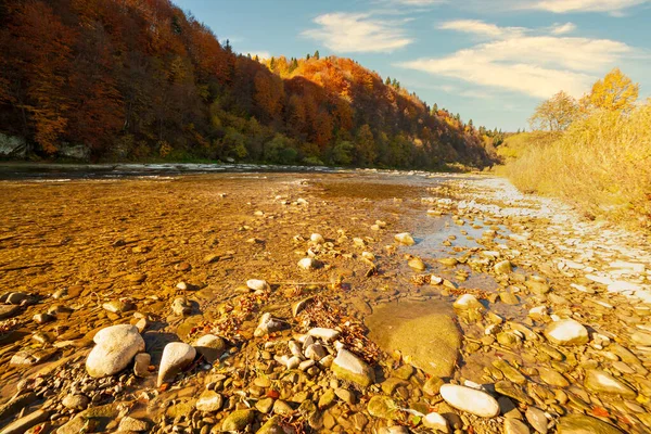 Sonbaharda şelalenin manzarası. Sonbahar renklerinde şelale. Sonbahar manzarasında dağ nehri. Ukrayna, Stryj Nehri.