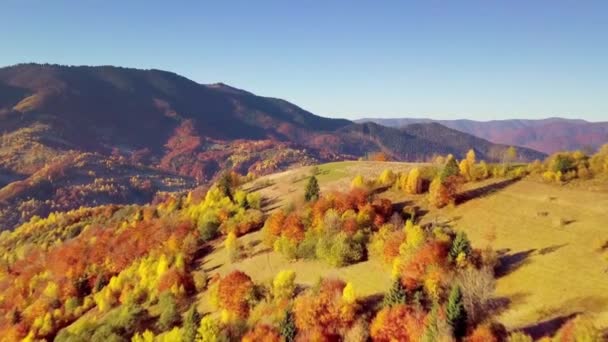 Prachtig landschap vanuit vogelperspectief. Adembenemend uitzicht met panoramisch berglandschap - Karpaten bergketen, Synevyr pas, Kamenka berg, Oekraïne. — Stockvideo