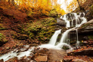 Ukpaine. Yosunlu kayaların arasında şelale. Günbatımında Karpat Dağları 'nda sonbahar ormanlarındaki bir nehirde güzel manzara akıntıları. Ulusal park Shypit Carpat 'ta gümüş akıntısı. Kuklalar.