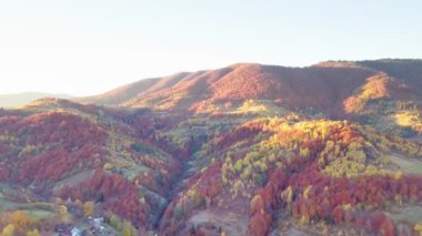 Harika bir manzara. Panoramik dağ manzaralı nefes kesici manzara - Karpatlar dağ sırası, Synevyr geçidi, Kamenka dağı, Ukrayna.
