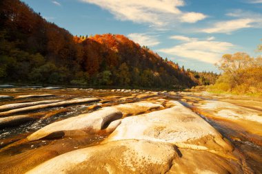 Sonbaharda şelalenin manzarası. Sonbahar renklerinde şelale. Sonbahar manzarasında dağ nehri. Ukrayna, Stryj Nehri.