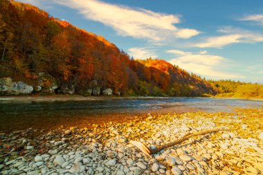 Sonbaharda şelalenin manzarası. Sonbahar renklerinde şelale. Sonbahar manzarasında dağ nehri. Ukrayna, Stryj Nehri.