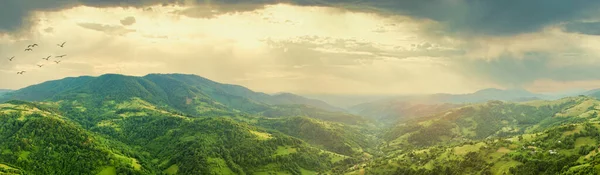 Aerial view of the endless lush pastures of the Carpathian expanses and agricultural land. Cultivated agricultural field. Rural mountain landscape at sunset. Ukraine. — Stock Photo, Image