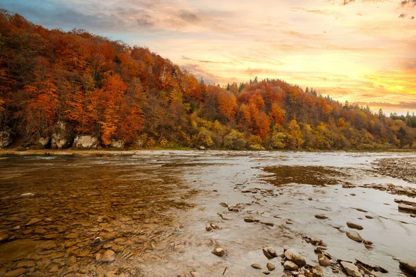 Sonbaharda şelalenin manzarası. Sonbahar renklerinde şelale. Sonbahar manzarasında dağ nehri. Ukrayna, Stryj Nehri.
