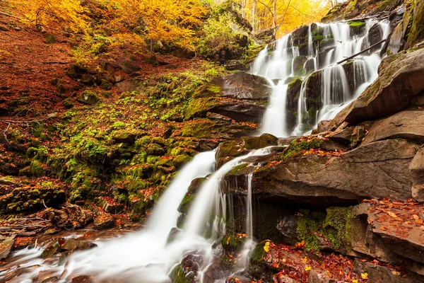 Ukpaine. Yosunlu kayaların arasında şelale. Günbatımında Karpat Dağları 'nda sonbahar ormanlarındaki bir nehirde güzel manzara akıntıları. Ulusal park Shypit Carpat 'ta gümüş akıntısı. Kuklalar.
