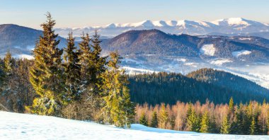 Harika bir kış manzarası. Kış dağı ormanı. Sıcak güneş ışığı altında buzlu ağaçlar. resim gibi doğa manzarası. yaratıcı sanatsal imaj. Instagram filtresi. kış bayramı arkaplanı.