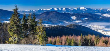 Karla kaplı dağ zirvesi rüzgarla esiyor. Kış manzarası. Soğuk bir gün, karlı..