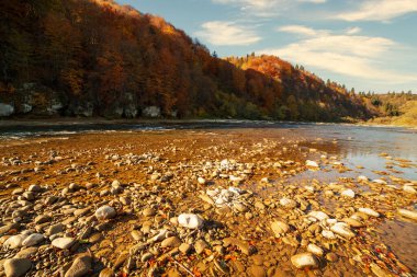 Sonbaharda şelalenin manzarası. Sonbahar renklerinde şelale. Sonbahar manzarasında dağ nehri. Ukrayna, Stryj Nehri.