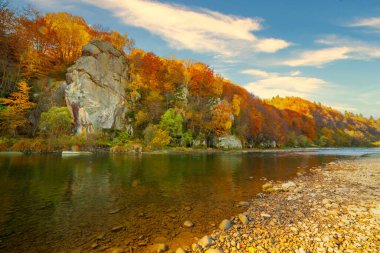 Sonbaharda şelalenin manzarası. Sonbahar renklerinde şelale. Sonbahar manzarasında dağ nehri. Ukrayna, Stryj Nehri.