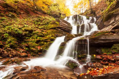 Ukpaine. Yosunlu kayaların arasında şelale. Günbatımında Karpat Dağları 'nda sonbahar ormanlarındaki bir nehirde güzel manzara akıntıları. Ulusal park Shypit Carpat 'ta gümüş akıntısı. Kuklalar.