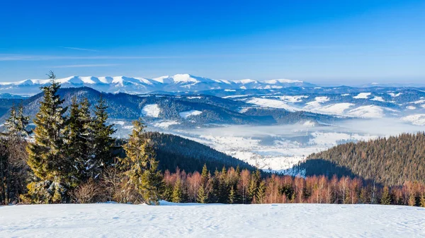 Karla kaplı dağ zirvesi rüzgarla esiyor. Kış manzarası. Soğuk bir gün, karlı..
