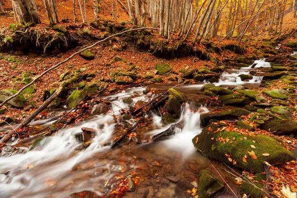 Ukraine. Ein sanfter Bach plätschert um moosbewachsene Felsen, umgeben von Bäumen, die in den Karpaten mit Herbstlaub geschmückt sind. Shypit-Karpaten im Nationalpark. — Stockfoto