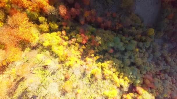 태양의 배경에 있는 산의 숲. 극적 인 선셋 하늘. Timelapse 입니다. 4K. — 비디오