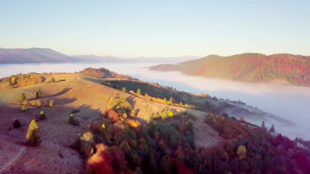 A wonderful feeling of a moving cloud on a mountain after rain. Flight above the clouds during sunrise, top view of the clouds and mountains from a drone. Carpathians, Synevyr pass, Ukraine. — Stock Video