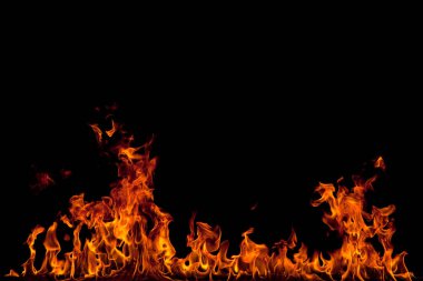 Köye yakın ağaçlık alanda çiçekler açıyor. Çiçeklere yakın çekim.