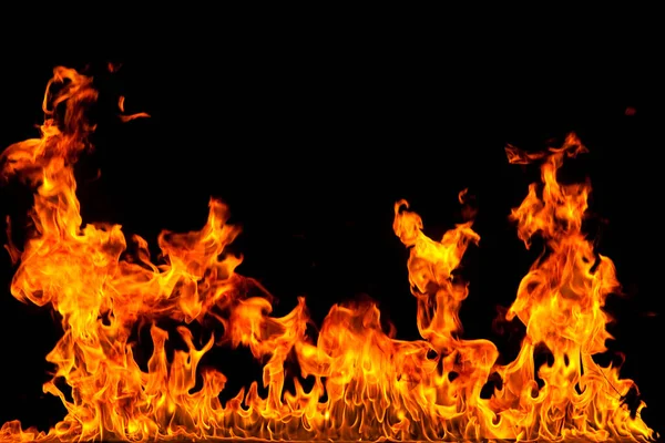 Köye yakın ağaçlık alanda çiçekler açıyor. Çiçeklere yakın çekim.