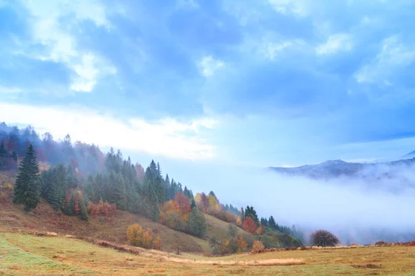 Autumn landscape with fog in the mountains. Fir forest on the hills. Carpathians, Ukraine, Europe — Stock Photo, Image