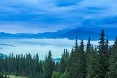 Tepeleri ve dağları olan güzel bir manzara.