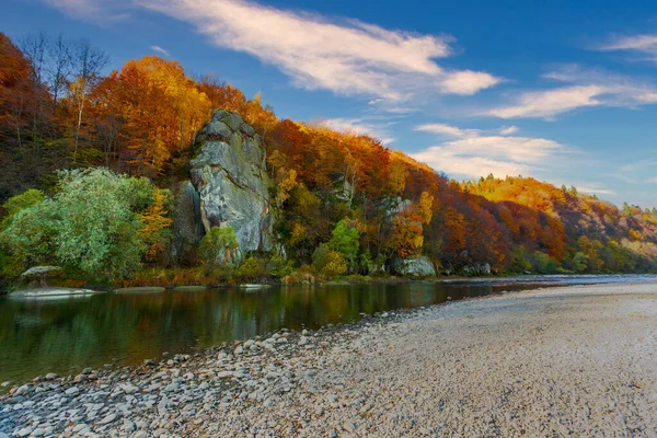 Sonbaharda şelalenin manzarası. Sonbahar renklerinde şelale. Sonbahar manzarasında dağ nehri. Ukrayna, Stryj Nehri.