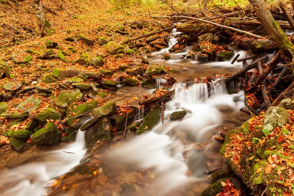 Ukpaine. Wasserfall zwischen den bemoosten Felsen. Schöne Stromschnellen an einem Gebirgsfluss im Herbstwald in den Karpaten bei Sonnenuntergang. Silberfluss im Shypit Carpat Nationalpark. Pilipets. — Stockfoto