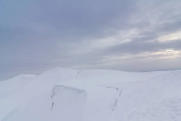 Gefrorener schneebedeckter Tannenwald nach Schneefall und grauer Himmel im Dunst am Wintertag. Karpaten, Ukraine — Stockfoto