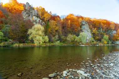 Sonbaharda şelalenin manzarası. Sonbahar renklerinde şelale. Sonbahar manzarasında dağ nehri. Ukrayna, Stryj Nehri.