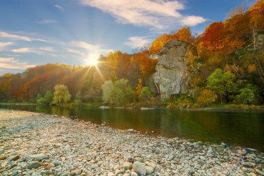 Sonbaharda şelalenin manzarası. Sonbahar renklerinde şelale. Sonbahar manzarasında dağ nehri. Ukrayna, Stryj Nehri.