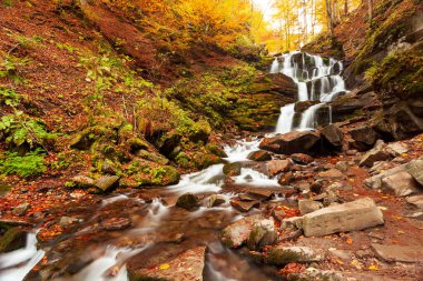 Ukpaine. Yosunlu kayaların arasında şelale. Günbatımında Karpat Dağları 'nda sonbahar ormanlarındaki bir nehirde güzel manzara akıntıları. Ulusal park Shypit Carpat 'ta gümüş akıntısı. Kuklalar.