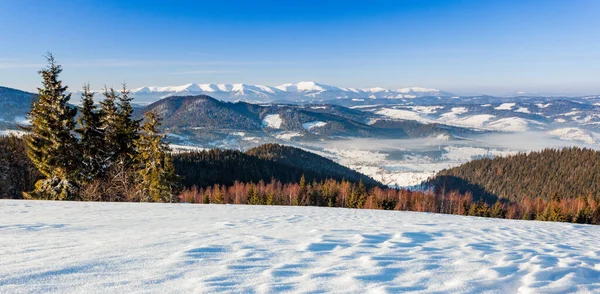Vackert vinterlandskap med snötäckta träd. Vinterberg. — Stockfoto