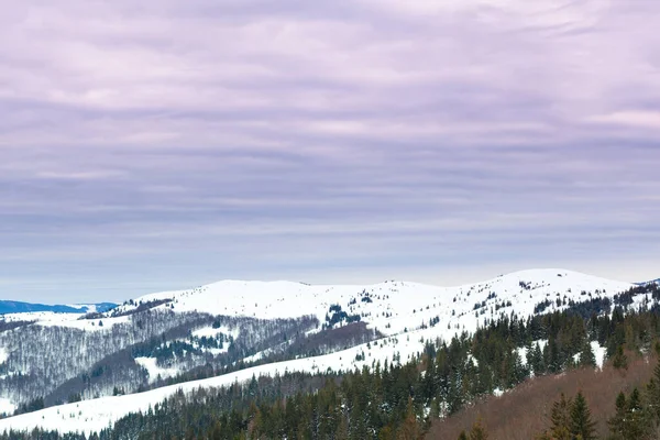 Eslavske pista de esqui com céu azul cercado por montanhas e florestas. Cárpatos, Ucrânia. — Fotografia de Stock