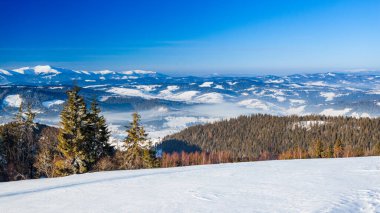 Karla kaplı dağ zirvesi rüzgarla esiyor. Kış manzarası. Soğuk bir gün, karlı..