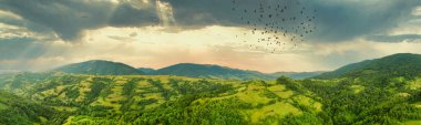 Karpatlar 'ın uçsuz bucaksız otlaklarının ve tarım arazilerinin havadan görünüşü. Tarım tarlası. Gün batımında kırsal dağ manzarası. Ukrayna.