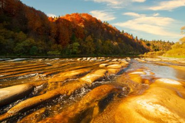 Sonbaharda şelalenin manzarası. Sonbahar renklerinde şelale. Sonbahar manzarasında dağ nehri. Ukrayna, Stryj Nehri.
