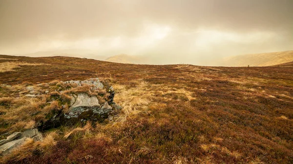 Ukrayna, Magura-Jide dağları ve Karpat dağlarının mavi gökyüzü manzarası. Borzhava dağlarının geniş açık çöl manzaraları. Pylypets, Ulusal Park.
