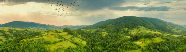 Luftaufnahme der endlosen saftigen Weiden der Karpaten und der landwirtschaftlichen Flächen. Kultiviertes landwirtschaftliches Feld. Ländliche Berglandschaft bei Sonnenuntergang. Ukraine. — Stockfoto