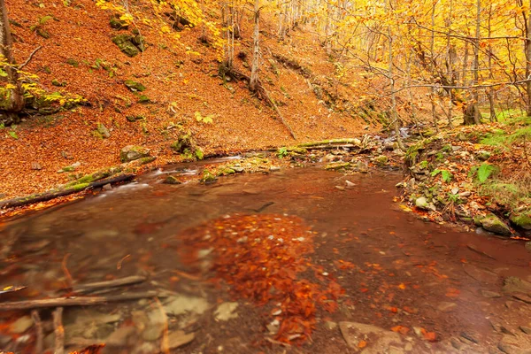 Ukpaine. Waterfall among the mossy rocks. Beautiful landscape rapids on a mountains river in autumn forest in carpathian mountains at sunset. Silver stream in National park Shypit Carpat. Pilipets. — Stock Photo, Image