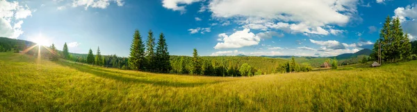 Krásná příroda a nádherná krajina se svěžími zelenými lesy a vegetací v údolí Synevyr Karpat na Ukrajině. Čerstvé zelené louky a kvetoucí divoké květiny. — Stock fotografie