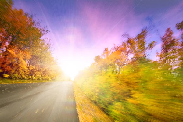 滑りやすいぬれた道路の美しい黄色の秋の木々に囲まれ、先の霧。美しい秋の季節 — ストック写真