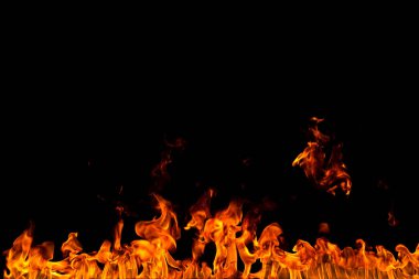 Köye yakın ağaçlık alanda çiçekler açıyor. Çiçeklere yakın çekim.