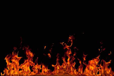 Köye yakın ağaçlık alanda çiçekler açıyor. Çiçeklere yakın çekim.