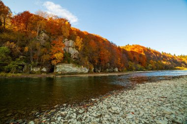 Sonbaharda şelalenin manzarası. Sonbahar renklerinde şelale. Sonbahar manzarasında dağ nehri. Ukrayna, Stryj Nehri.