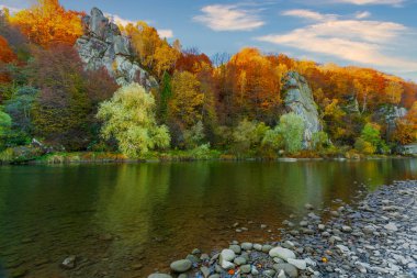 Sonbaharda şelalenin manzarası. Sonbahar renklerinde şelale. Sonbahar manzarasında dağ nehri. Ukrayna, Stryj Nehri.
