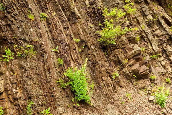 Textura de pedra - a natureza da estrutura de uma substância sólida e a localização das suas partes . — Fotografia de Stock