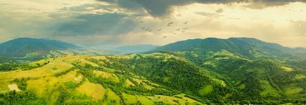 Karpatlar 'ın uçsuz bucaksız otlaklarının ve tarım arazilerinin havadan görünüşü. Tarım tarlası. Gün batımında kırsal dağ manzarası. Ukrayna.