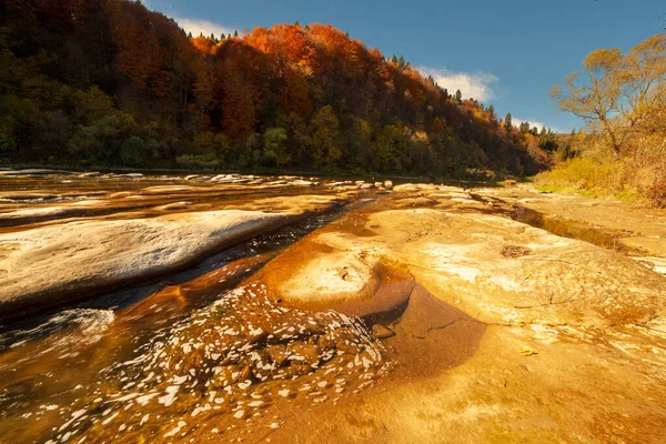 Sonbaharda şelalenin manzarası. Sonbahar renklerinde şelale. Sonbahar manzarasında dağ nehri. Ukrayna, Stryj Nehri.