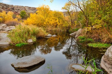 Güzel bir kanyon boyunca akan küçük, harika bir göl. Suda kocaman kapaklar var. Ukrayna.