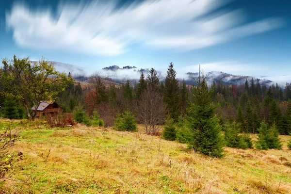 喀尔巴阡山脉的孤零零的树和秋天的彩草, — 图库照片