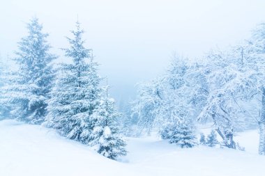 Karla kaplı ağaçlarla kaplı güzel bir kış manzarası. Kış dağları.