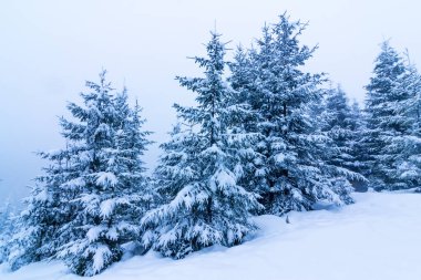 Karla kaplı ağaçlarla kaplı güzel bir kış manzarası. Kış dağları.