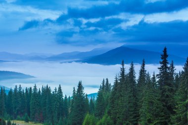 Tepeleri ve dağları olan güzel bir manzara.